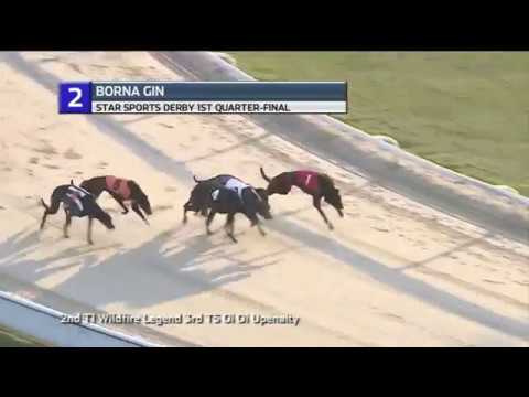 2018 STAR SPORTS DERBY - 1ST QF - T2 BORNA GIN
