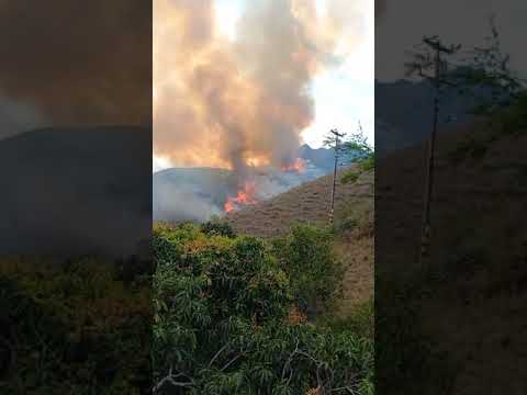 incendio forestal la pedrera vereda de vijes valle