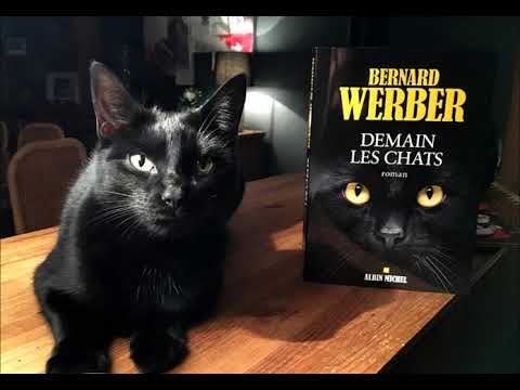 Extrait de "Demain les chats" de Bernard WERBER
