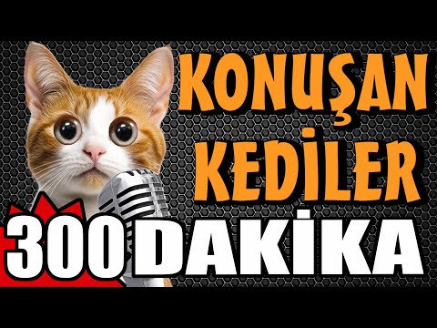 Konuşan Kediler 300 Dakika - Sinema Tadında En Komik Kedi Videoları