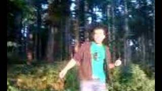 Magic Mushroom and acid trip