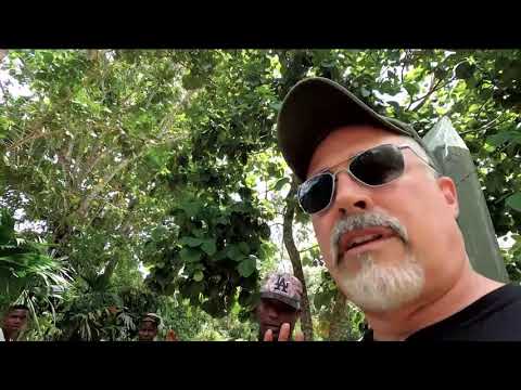 Migrants AMASSING at the Southern Border are in Danger