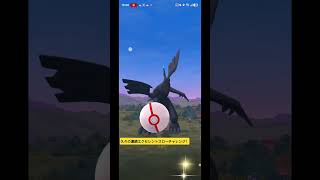 【ポケモンGO】みんなはエクセレントスロー連続何回当てれますか？【ゼクロムレイド連続エクセレントスローチャレンジ】