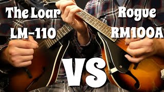 Video thumbnail for $50 Mandolin VS $250 Mandolin | Rogue RM100A VS The Loar LM-110 by Meercreate