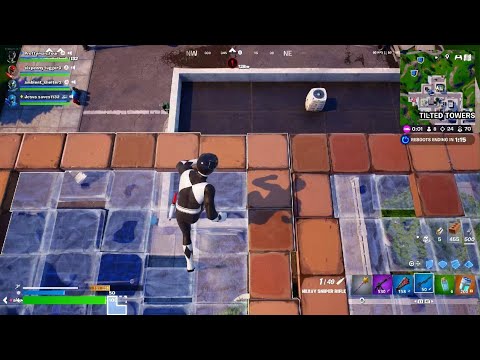 ME and My Friends Got 74 Elims