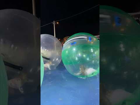 ✨Ina i Arija u Luna Parku✨