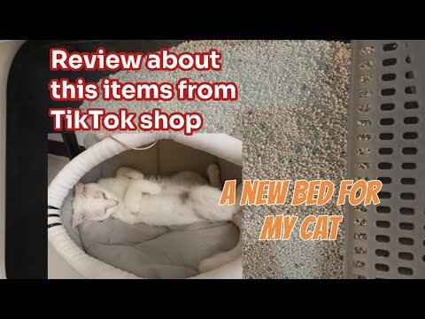 UNBOXING & REVIEW FOR MY CAT THINGS ORDERED FROM TIKTOK.