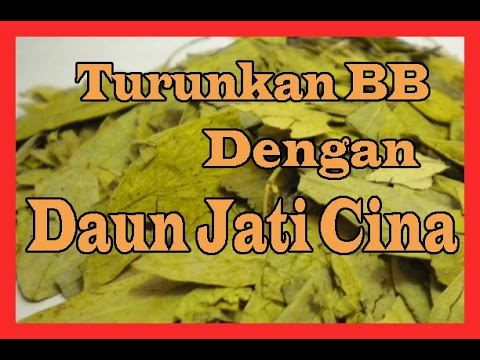 Nutrisi yang tepat untuk menurunkan berat badan hasil dengan foto Cara menurunkan berat badan pada 15 nasihat medis kg