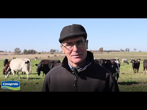 HISTORIAS DE LECHERIA