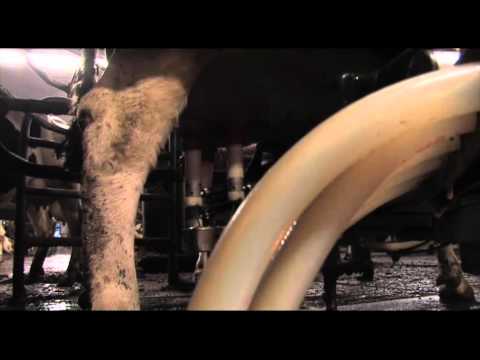 Karstulan esittelyvideo