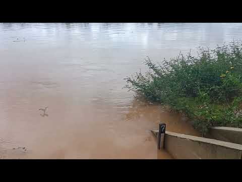 Enchendo bastante o Rio São Francisco em manga MG 