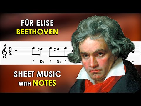 Für Elise | Sheet Music with Easy Notes for Recorder, Violin + Piano Accompaniment | Beethoven