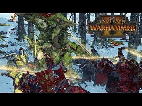 Bretonnian Buzzsaw - Wood Elves vs Bretonnia // Total War: Warhammer II Online Battle