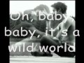 Mike Bailey - Wild World (lyrics) 