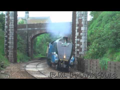 Horns, Hoots, Tones and Whistles Compilation 2012