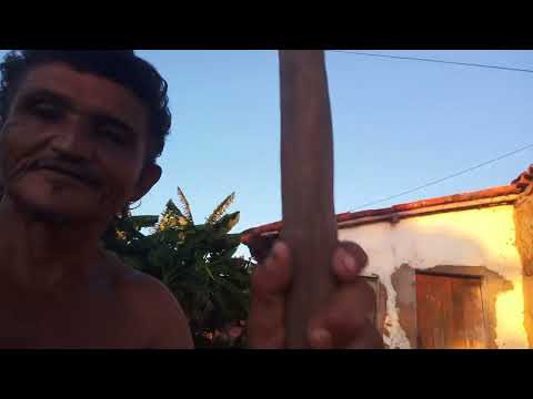 Sátiro Dias Bahia