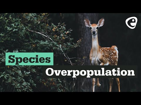 Species Overpopulation