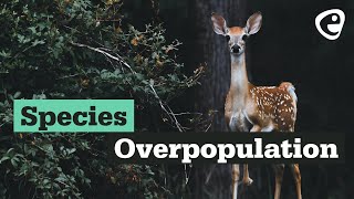 Species overpopulation