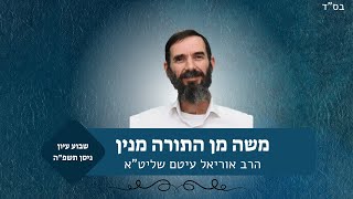 משה מן התורה מנין | שבוע עיון פסח תשפ"ה | הרב אוריאל עיטם (ישיבת אור עציון) - התמונה מוצגת ישירות מתוך אתר האינטרנט יוטיוב. זכויות היוצרים בתמונה שייכות ליוצרה. קישור קרדיט למקור התוכן נמצא בתוך דף הסרטון
