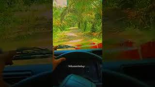 Download lagu story wa & ig nyetir truk terbaru mp3 Download lagu story wa & ig nyetir truk terbaru mp3