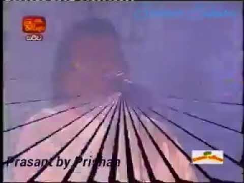 Seeduwa sakura with Abewardana balasooriya/old song seeduwa sakura/best backing❤️‍🔥