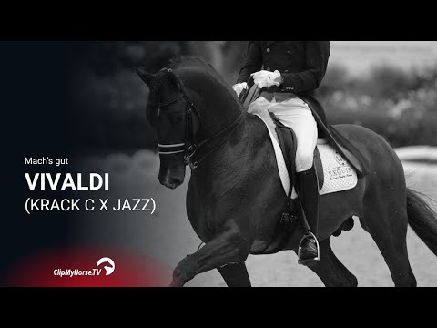 Abschied von einer Legende: Vivaldi lebt nicht mehr🕊️