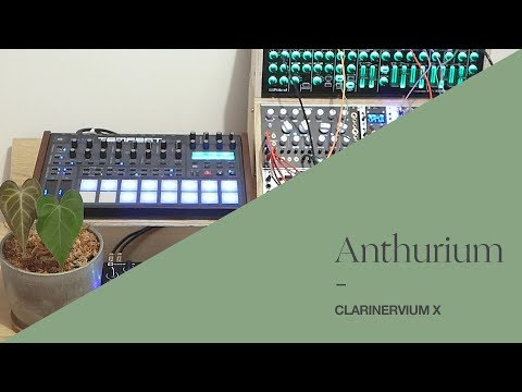 Anthurium—Clarinervium X [Generative Eurorack with Tempest & Circuit]