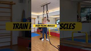 Adaptive Single-Arm Indoor Row demonstration thumbnail