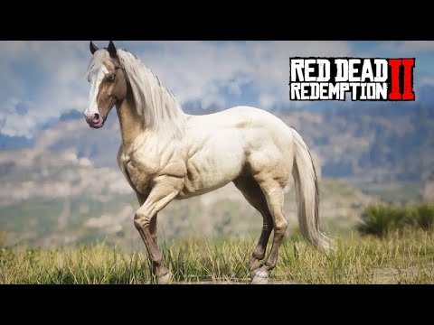 This horse lives on the other side of the big river - Taming the PASSO FINO Perlino - Red Dead Rd...