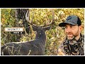 Big Buck Checks EVERY DOE In A Bedding Area Rut Sit