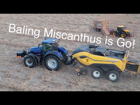 Videotagebuch auf dem Bauernhof Nr.155