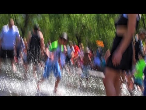 ShotByDarEpic25 -  "A Summer's Day" (Chi-town Visuals) Nikon Short Film