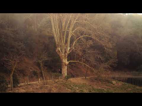 Niin minä - Barcelona Ethnic Band #carolrovira