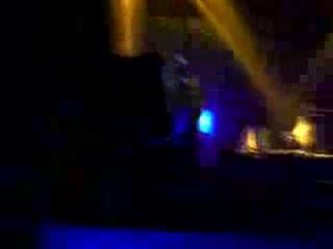 shelectric & gimbel 23.2.08 dog (3)