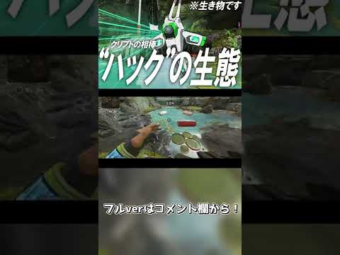 バイユー大聖堂の地下室、11 世紀