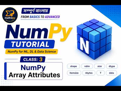 Numpy Array Attributes Explained Shape Ndim Dtype Size Itemsize And Nbytes Numpy Tutorial