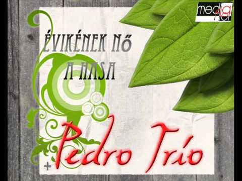 Pedro Trio - Évikének nő a hasa, jaj mámó