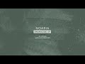 Noaria Looping Gynoid Audio