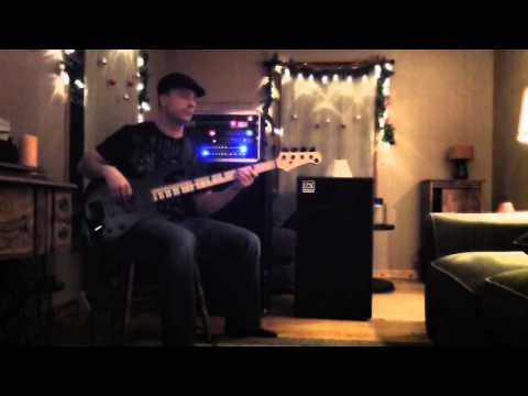 Chris Cole LDS 1212/5 bass cab #2 with Tech 21 vt rackmount