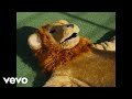 jambo - eläintarha