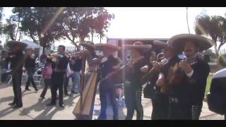 Mariachi Calafia (las alteñitas)