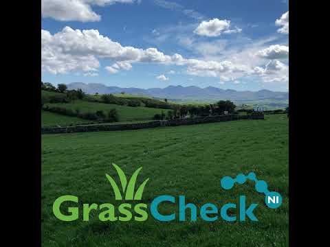 Making the most of a difficult year