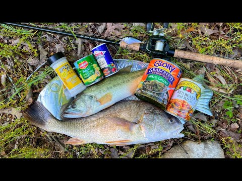 Eating Whatever We Catch on Our New Favorite Lake!