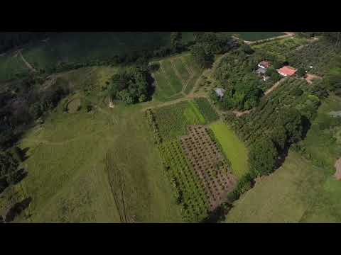 Sítio boa Esperança. Cerrado grande - Tibagi - Paraná 