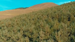 Ինդեքս 10.03.2023