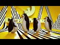 DreamWorks Channel Idents 2021