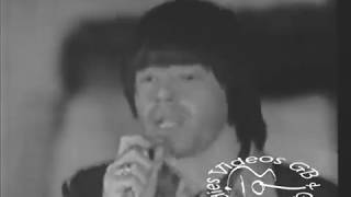 The Seeds - Mr. Farmer (1967)