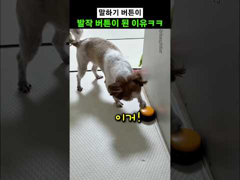 말하기 버튼이 발작 버튼이 된 이유ㅋㅋ