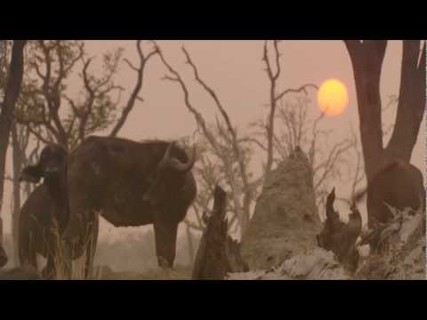 Matthew L. Fisher - Nature