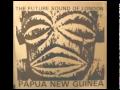 The future sound of london - Papua New Guinea (Herd and White Remix)